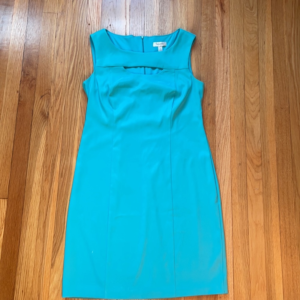 Dressbarn Dress